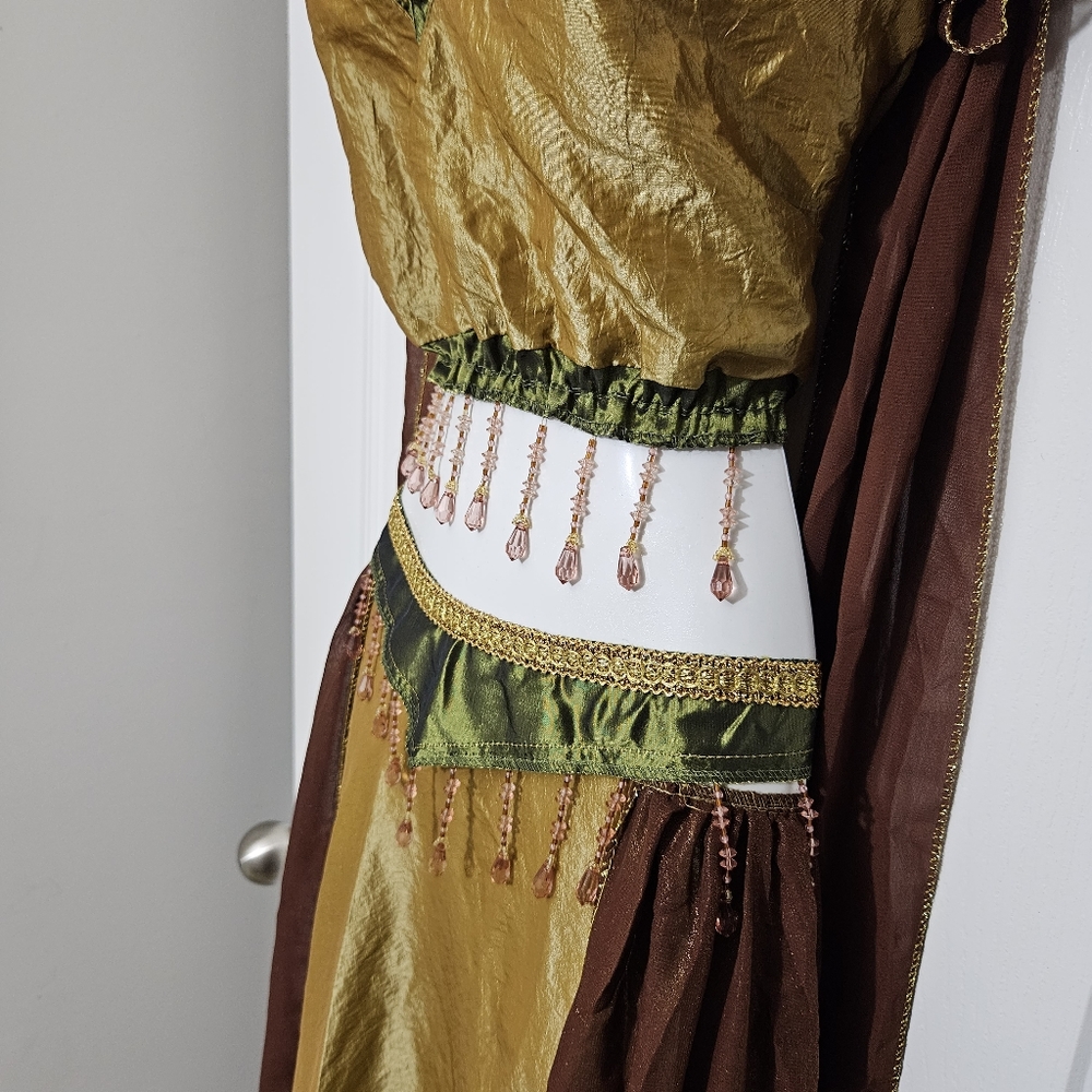 EXOTIC BELLY DANCER Womens Halloween Sz 10-14 Med/Lg Gold Brown Green Costume - Picture 6 of 8